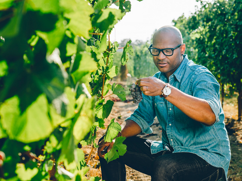 New Maison Noir Wines hit the shelves at Hop City!