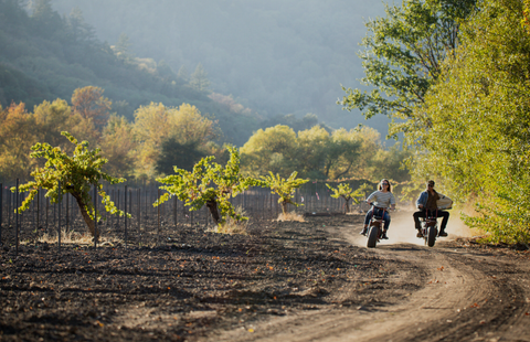 All American Wines to Celebrate Summer