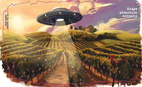 From Porch to Pool: Our Top Picks for Versatile Rosé Wines