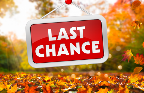 Last Chance for Fall Festive Beers!