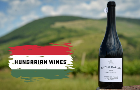 Explore the Re-Emergence of Hungary's World-Class Wines