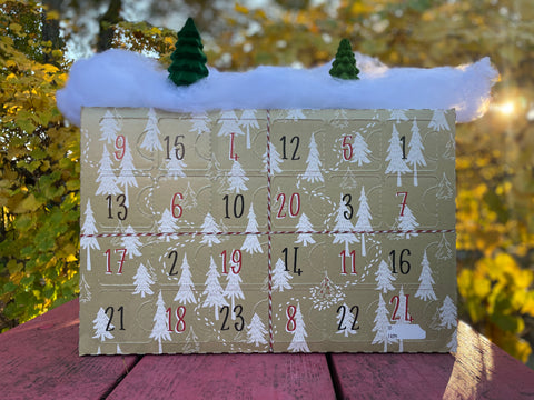 Hop City Advent Calendar, displaying the inside contents