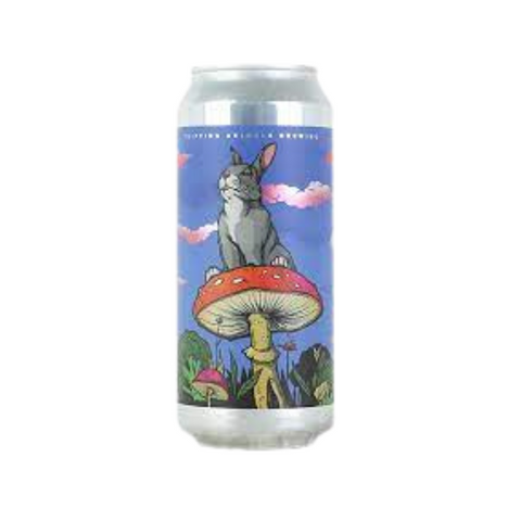 Tripping Animals Daytripping 2pk – Hop City Beer & Wine