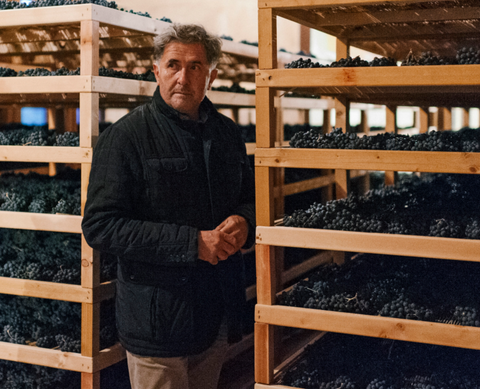 Paolo Bea Wines